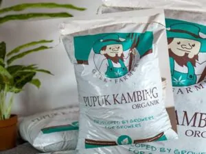 Pupuk Organik : Dari Kompos Sampai Biochar